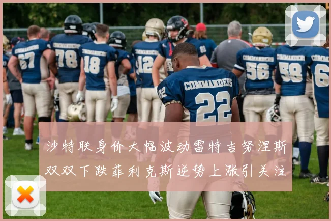 沙特联身价大幅波动雷特吉努涅斯双双下跌菲利克斯逆势上涨引关注